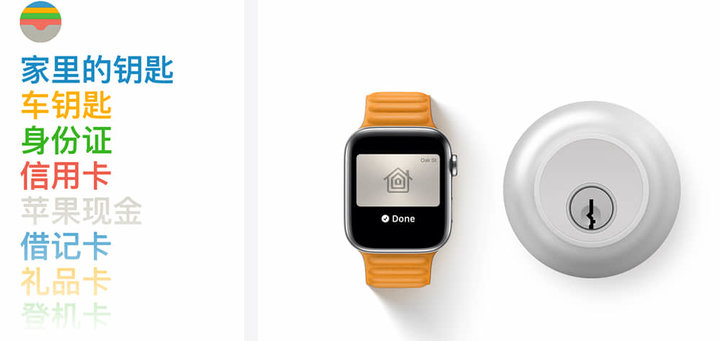 watchOS 8 上手：全新表盤(pán)、全新運動(dòng)，還有 10+ 項全新功能