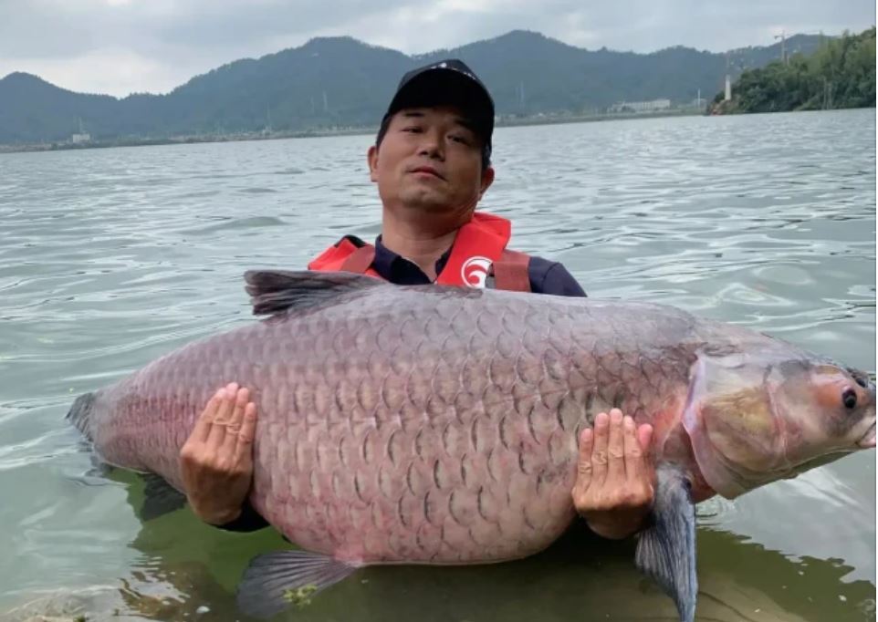 國內魚(yú)竿企業(yè)哪家強？如果早點(diǎn)知道，你能少花很多冤枉錢(qián)