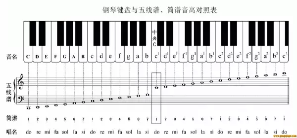 電子琴上哪個(gè)鍵是1234567？這里有你想知道的答案！