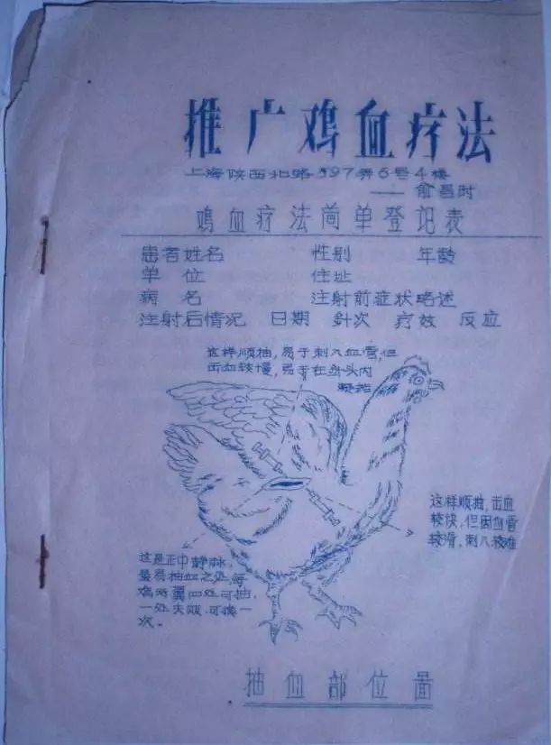 科普：“打雞血”一詞是怎么來(lái)的？
