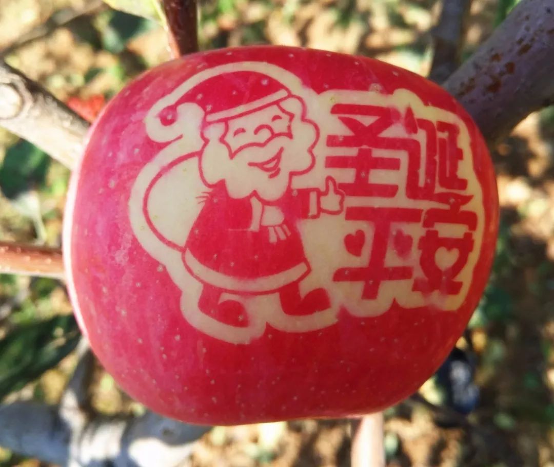 科普：“打雞血”一詞是怎么來(lái)的？