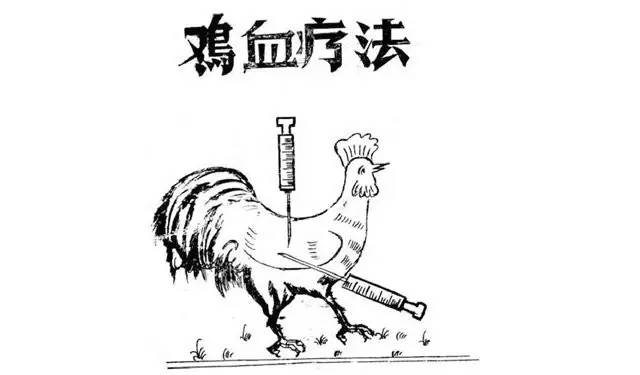 科普：“打雞血”一詞是怎么來(lái)的？