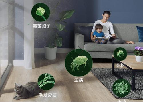 戴森V7 Mattress除螨器，家庭塵螨沒(méi)蹤跡