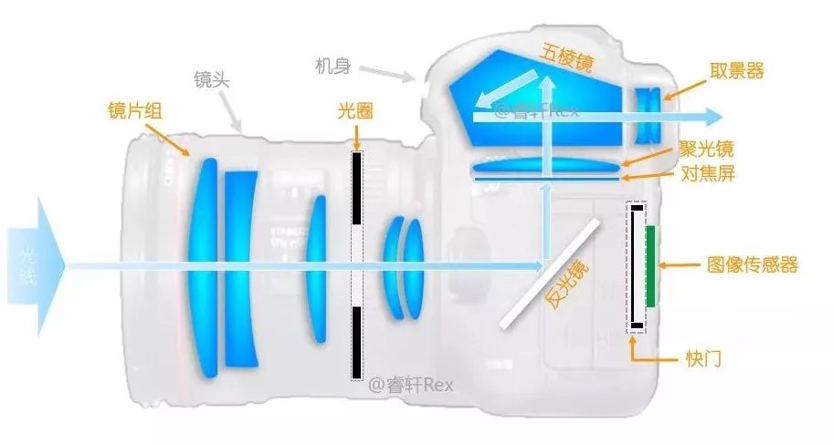 單反單反，到底什么是單反？