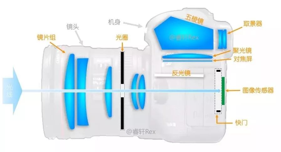 單反單反，到底什么是單反？