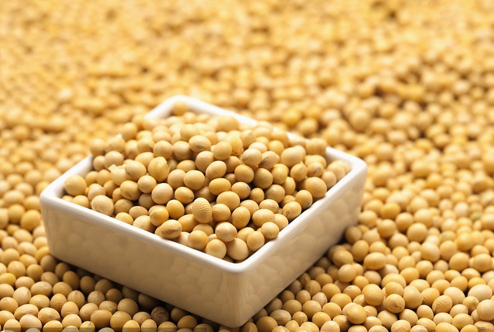 缺乏蛋白質(zhì)有什么癥狀？這7種食物升糖慢、蛋白質(zhì)超豐富！