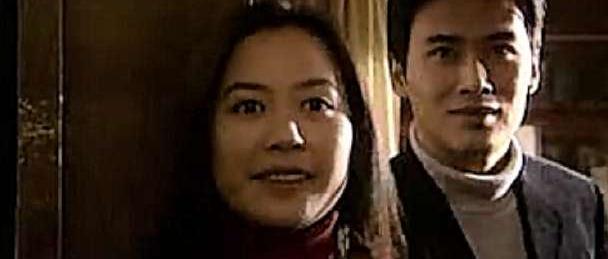 柳云龍主演諜戰的電視劇大全(柳云龍出演的各類(lèi)型電視劇作品)(19)