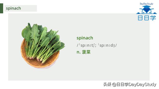 空心菜翻譯（為什么英文空心菜）(2)