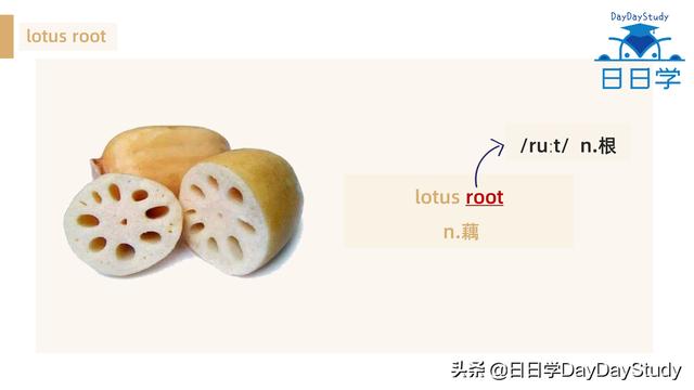 空心菜翻譯（為什么英文空心菜）(6)