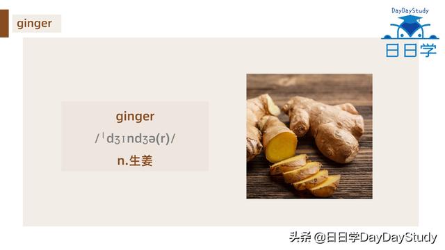 空心菜翻譯（為什么英文空心菜）(8)
