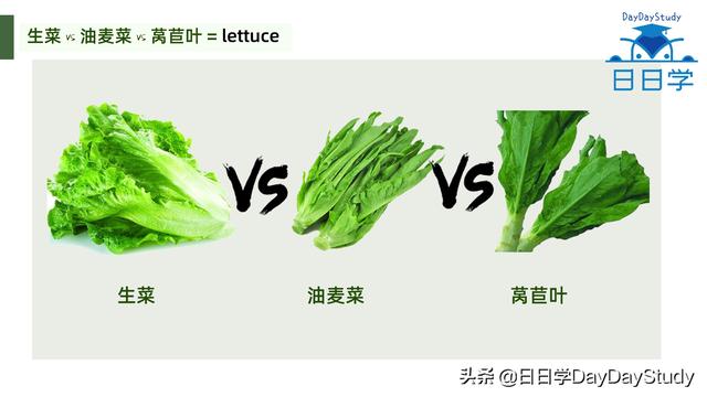 空心菜翻譯（為什么英文空心菜）(4)