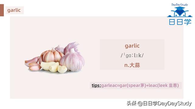 空心菜翻譯（為什么英文空心菜）(7)
