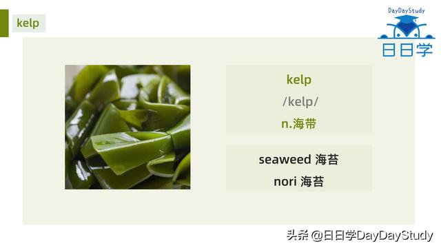 空心菜翻譯（為什么英文空心菜）(5)