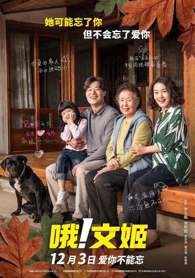 十部韓國9.0高分喜劇電影(10部韓國動(dòng)作喜劇電影)(10)