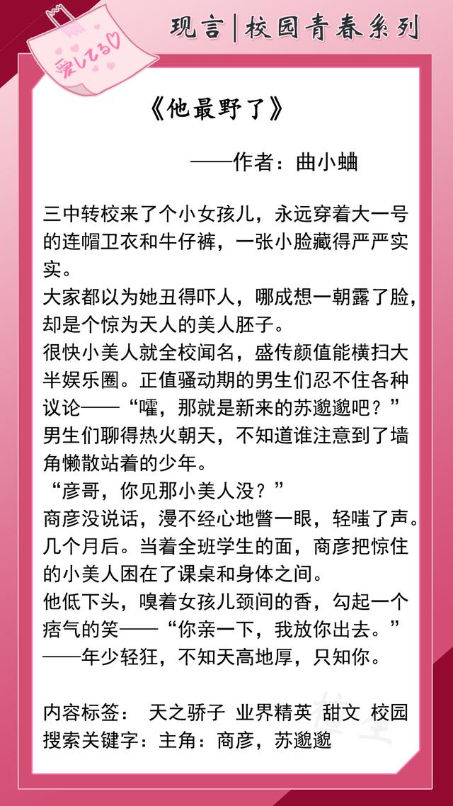 好看的校園言情小說(shuō)（校園青春言情年少時(shí)的喜歡）(3)