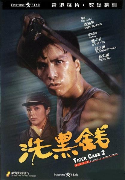 甄子丹拍過(guò)的電影大全(甄子丹十部電影代表作)(2)