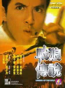 甄子丹拍過(guò)的電影大全(甄子丹十部電影代表作)(6)