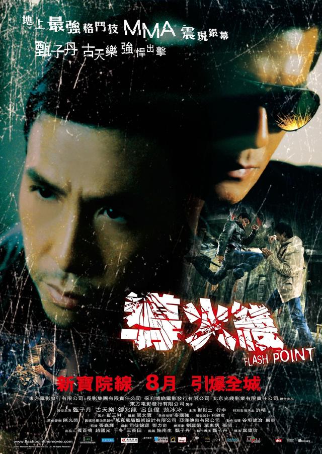 甄子丹拍過(guò)的電影大全(甄子丹十部電影代表作)(8)