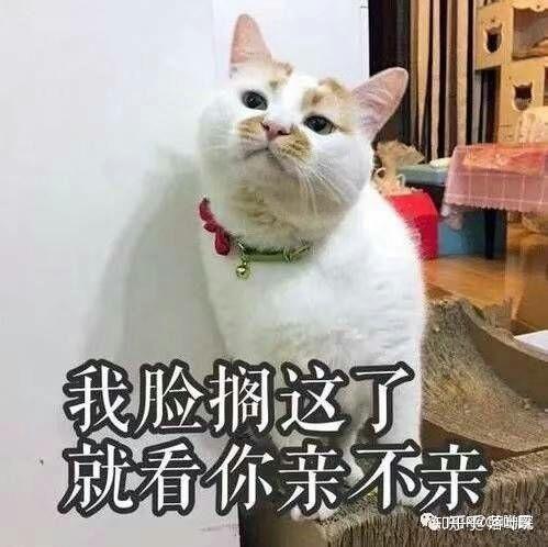 推薦十部超美愛(ài)情電影(國外愛(ài)情十大經(jīng)典電影)(2)
