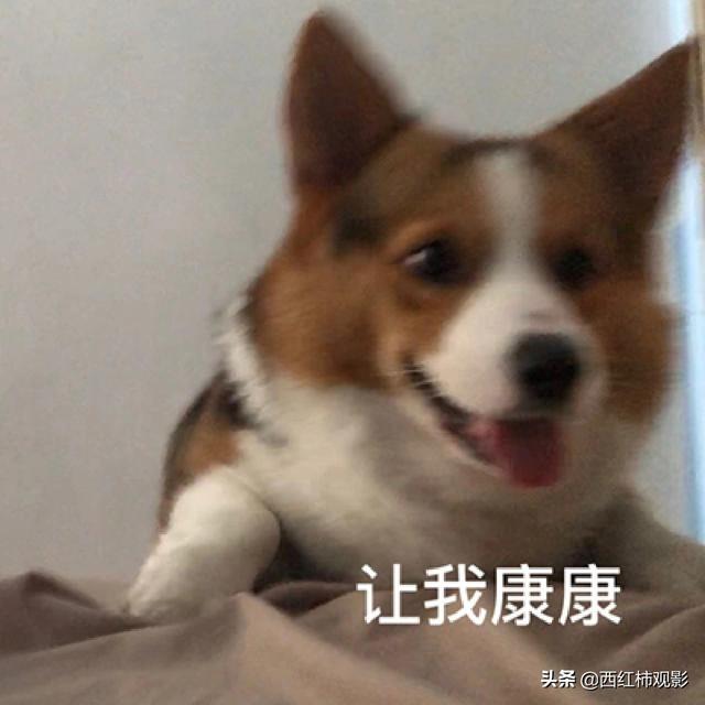 古裝劇推薦女扮男裝(盤(pán)點(diǎn)國產(chǎn)劇中優(yōu)質(zhì)的女扮男裝)(3)