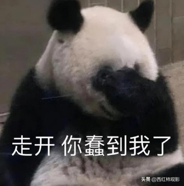 古裝劇推薦女扮男裝(盤(pán)點(diǎn)國產(chǎn)劇中優(yōu)質(zhì)的女扮男裝)(2)