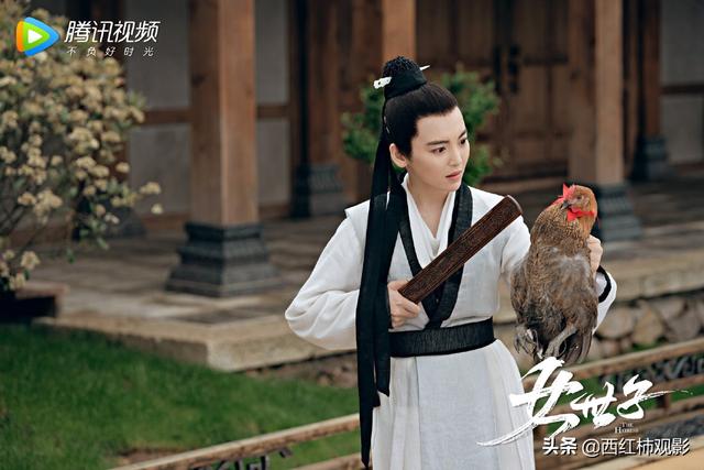古裝劇推薦女扮男裝(盤(pán)點(diǎn)國產(chǎn)劇中優(yōu)質(zhì)的女扮男裝)(7)