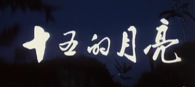 這才是真正的對越自衛反擊戰電影(10部?jì)?yōu)秀的對越反擊戰電影)(1)