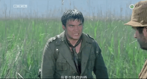 南斯拉夫45部老電影(50年前的這部南斯拉夫大片)(24)