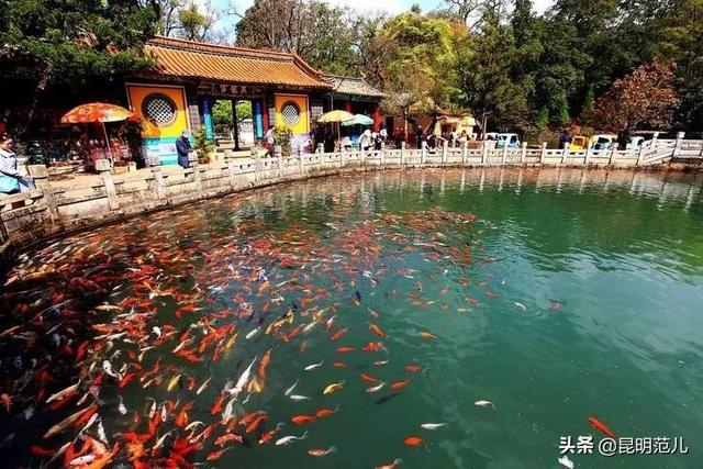 昆明旅游經(jīng)典路線(xiàn)(5條玩轉昆明的最佳線(xiàn)路)(27)