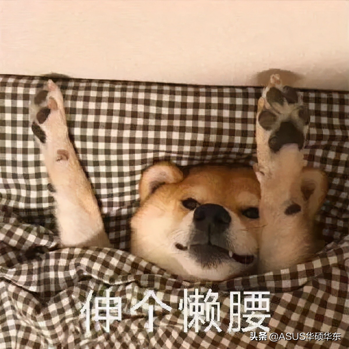 都被微軟騙了，Win10 的關(guān)機鍵竟然是假的