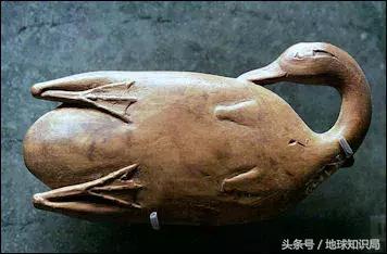 中東流傳已久的這個(gè)禁忌，你真的知道原因嗎｜地球知識局