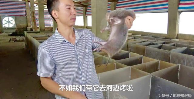 中東流傳已久的這個(gè)禁忌，你真的知道原因嗎｜地球知識局