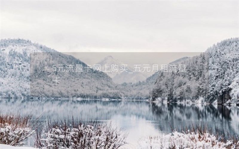 5元流量卡網(wǎng)上購買(mǎi)_五元月租流量卡
