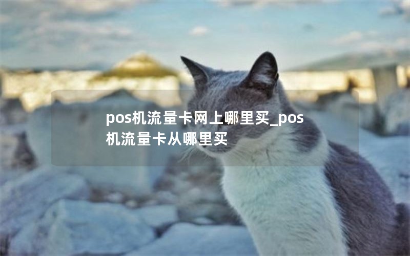 pos機流量卡網(wǎng)上哪里買(mǎi)_pos機流量卡從哪里買(mǎi)