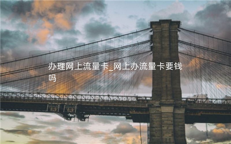 辦理網(wǎng)上流量卡_網(wǎng)上辦流量卡要錢(qián)嗎