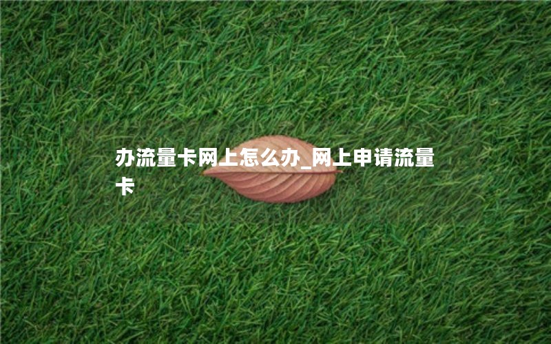 辦流量卡網(wǎng)上怎么辦_網(wǎng)上申請流量卡