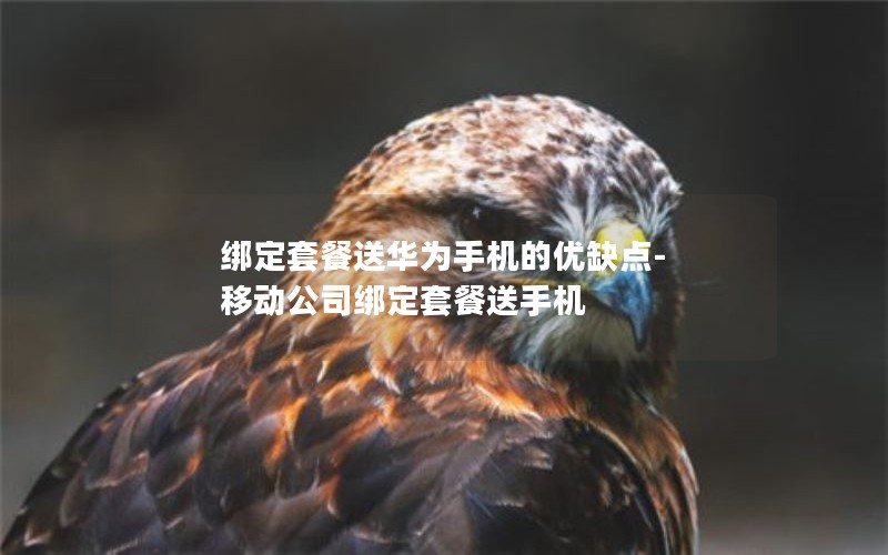 綁定套餐送華為手機的優(yōu)缺點(diǎn)-移動(dòng)公司綁定套餐送手機