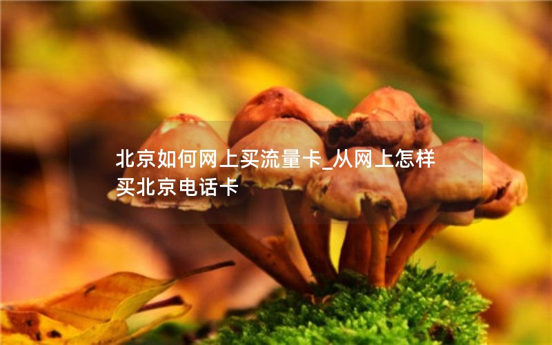 北京如何網(wǎng)上買(mǎi)流量卡_從網(wǎng)上怎樣買(mǎi)北京電話(huà)卡