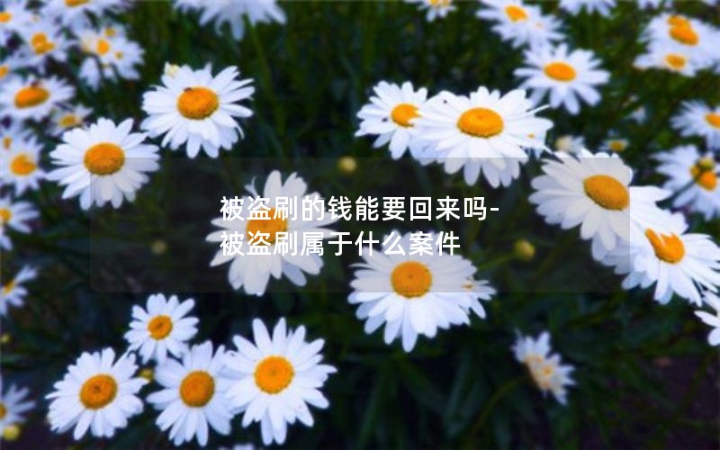 被盜刷的錢(qián)能要回來(lái)嗎-被盜刷屬于什么案件