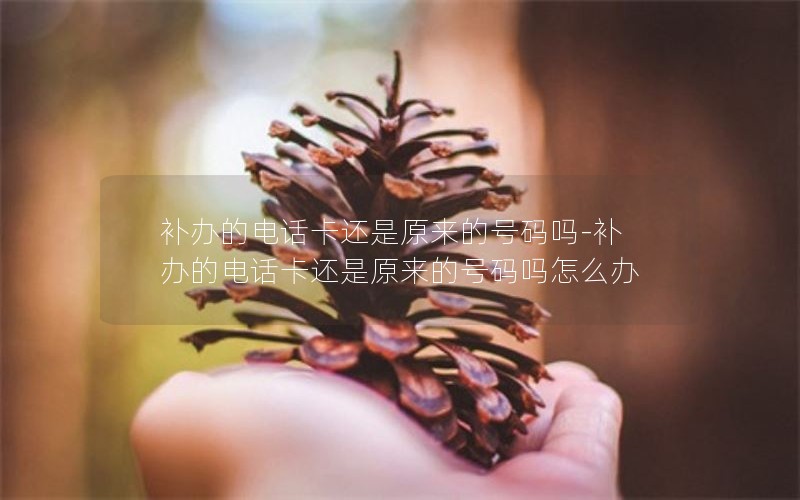 補辦的電話(huà)卡還是原來(lái)的號碼嗎-補辦的電話(huà)卡還是原來(lái)的號碼嗎怎么辦