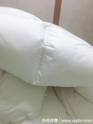 杉杉家紡羽絨被質(zhì)量怎么樣，真實(shí)使用體驗(大朵羽絨輕盈保暖)