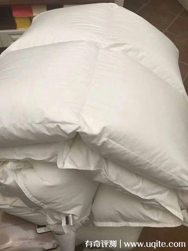 杉杉家紡羽絨被質(zhì)量怎么樣，真實(shí)使用體驗(大朵羽絨輕盈保暖)