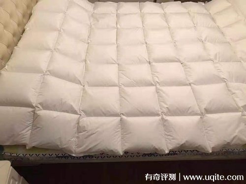 杉杉家紡羽絨被質(zhì)量怎么樣，真實(shí)使用體驗(大朵羽絨輕盈保暖)